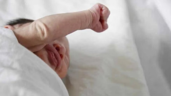 En marzo, el hospital Schestakow registró récord de nacimientos en un solo día