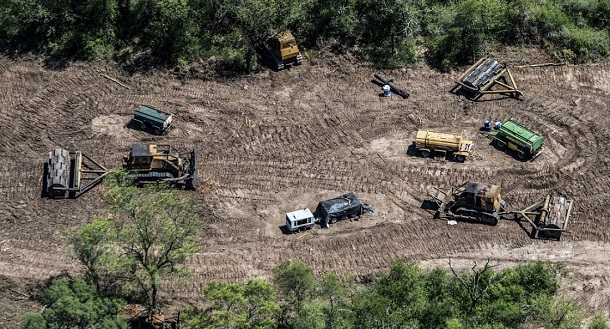 Desmonte: el norte argentino perdió 110 180 hectáreas de bosques nativos