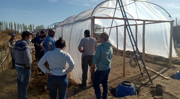 Alumnos de La Llave avanzan en el proyecto de cultivos hidropónicos en invernaderos