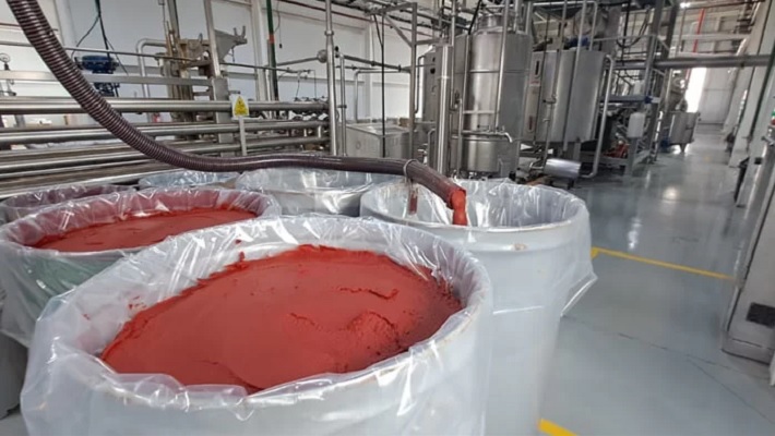 La pulpera de San Rafael inició la producción de tomate en versiones “triturado” y “pasta”