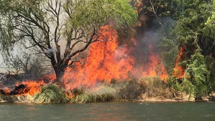 Un dantesco incendio se produjo en el margen este del río a la altura del pórtico de Valle Grande