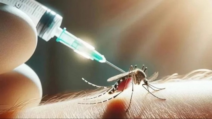 Dengue en Argentina: confirman 129 muertes y más de 180.000 casos