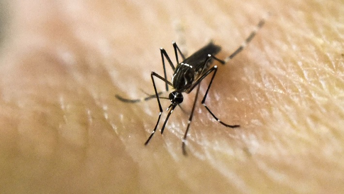 Alerta en Mendoza por visitantes con síntomas clínicos de dengue