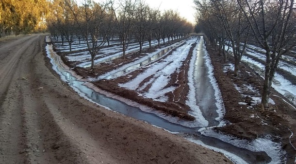 Seguro Agrícola en Mendoza: se incrementó el aporte económico por hectárea dañada al 100%