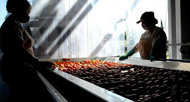La Pulpera comenzó a elaborar tomate y se alista para iniciar la producción de pasta de zapallo