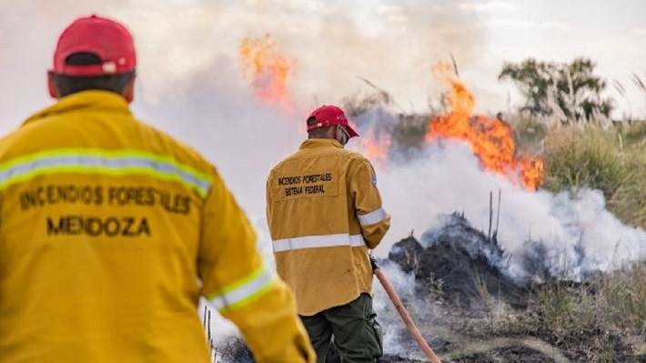 Los incendios forestales ya afectaron unas 15 mil hectáreas del Sur mendocino