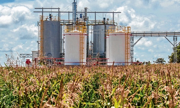 Dictamen en Diputados al nuevo marco regulatorio de biocombustible