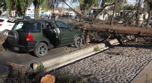 El Zonda pasa por Mendoza: estos son los daños provocados