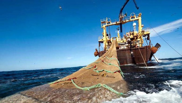 Polémica por iniciativa de brindar servicios a pesqueros chinos que operan en milla 201