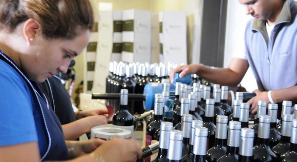 Crisis del vidrio: Mendoza se aseguró la compra de 1.500.000 botellas de vino