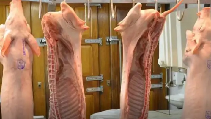 Sobre la caída del consumo de carne vacuna en el país, en Mendoza repuntó la venta de cortes porcinos