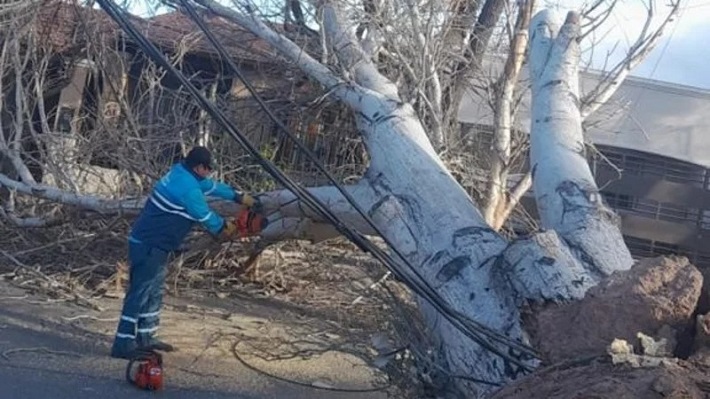 Este es el reporte del viento Zonda en Mendoza: cortes de luz, incendios, árboles y derrumbes