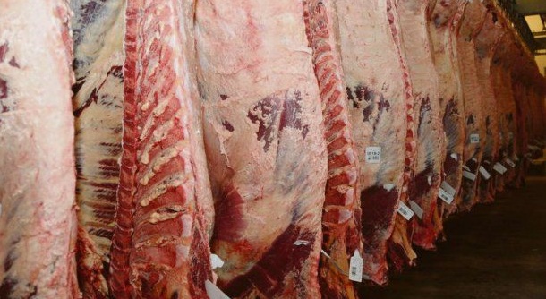 Carne: comenzó el debate del Plan Ganadero Nacional